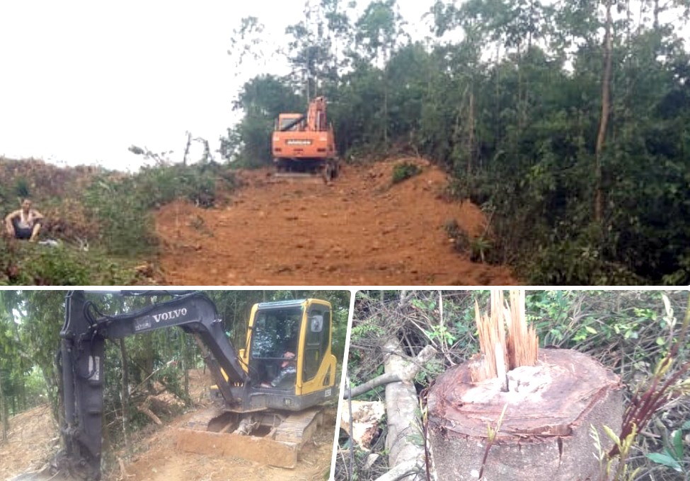 Những hình ảnh phá rừng phòng hộ Đá Bia được người dân ghi lại và cung cấp tới PV.