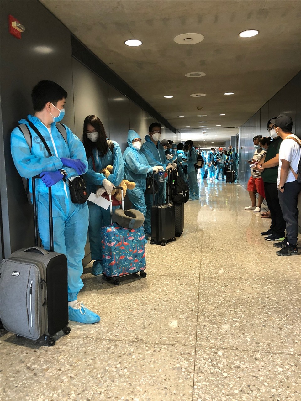 Hơn 340 công dân Việt Nam từ Mỹ về nước trên chuyến bay mới nhất. Ảnh: Bộ Ngoại giao.