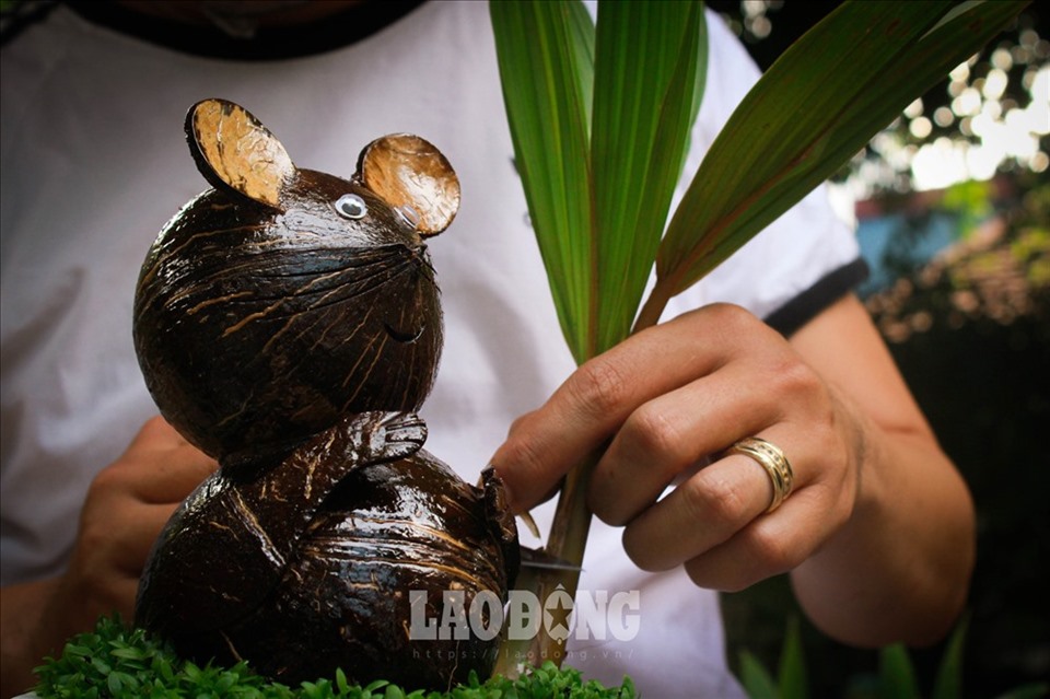 Hiện nay có rất nhiều loại bonsai dừa với đủ hình dáng để người mua loại chuột. Ảnh: Phan Anh