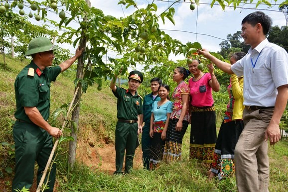 Bộ CHQS tỉnh Nghệ An trao tặng bò cho nhân dân xã Nậm Giải. Ảnh: Tâm Quang