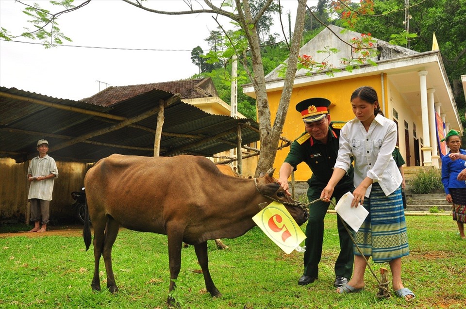 Bộ CHQS tỉnh Nghệ An trao tặng bò cho nhân dân xã Nậm Giải. Ảnh: Tâm Quang