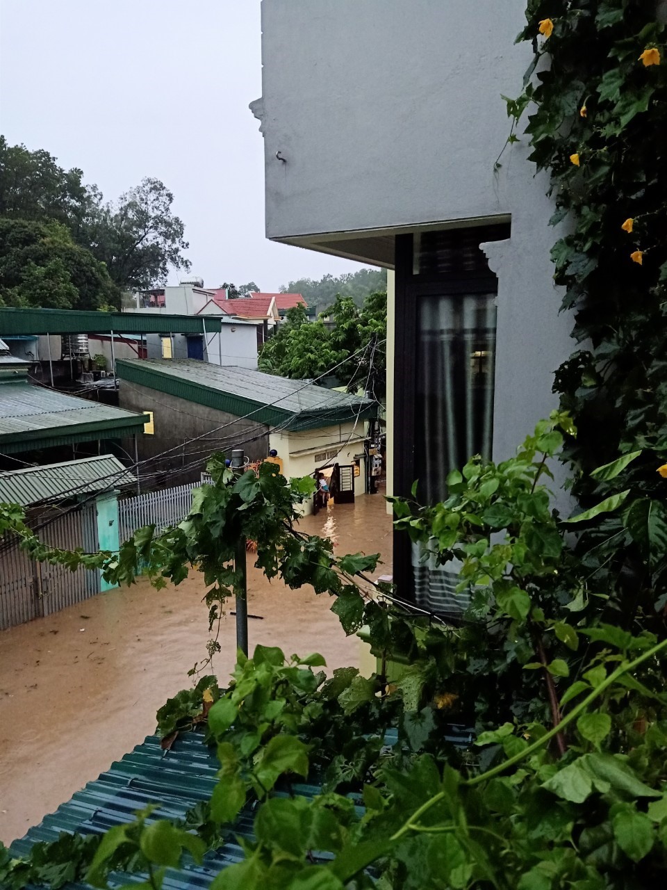 Nhiều khu vực ở phường Cao Xanh cứ mưa là ngập nặng. Ảnh: CTV