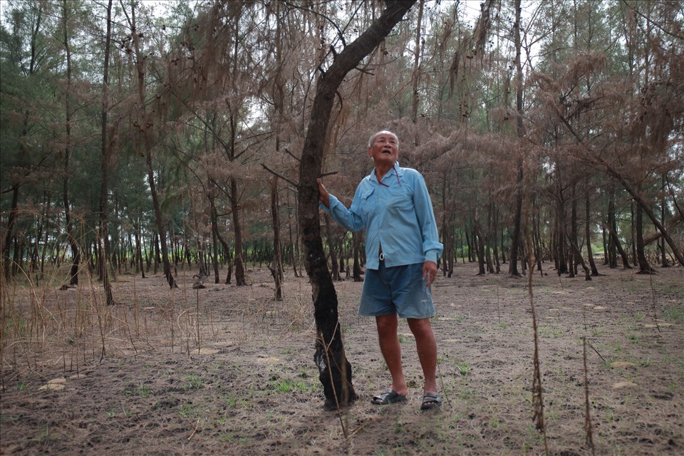 Một phần khu rừng phi của cụ bị kẻ gian đốt cháy hồi tháng 7/2020. Ảnh: Trần Tuyên