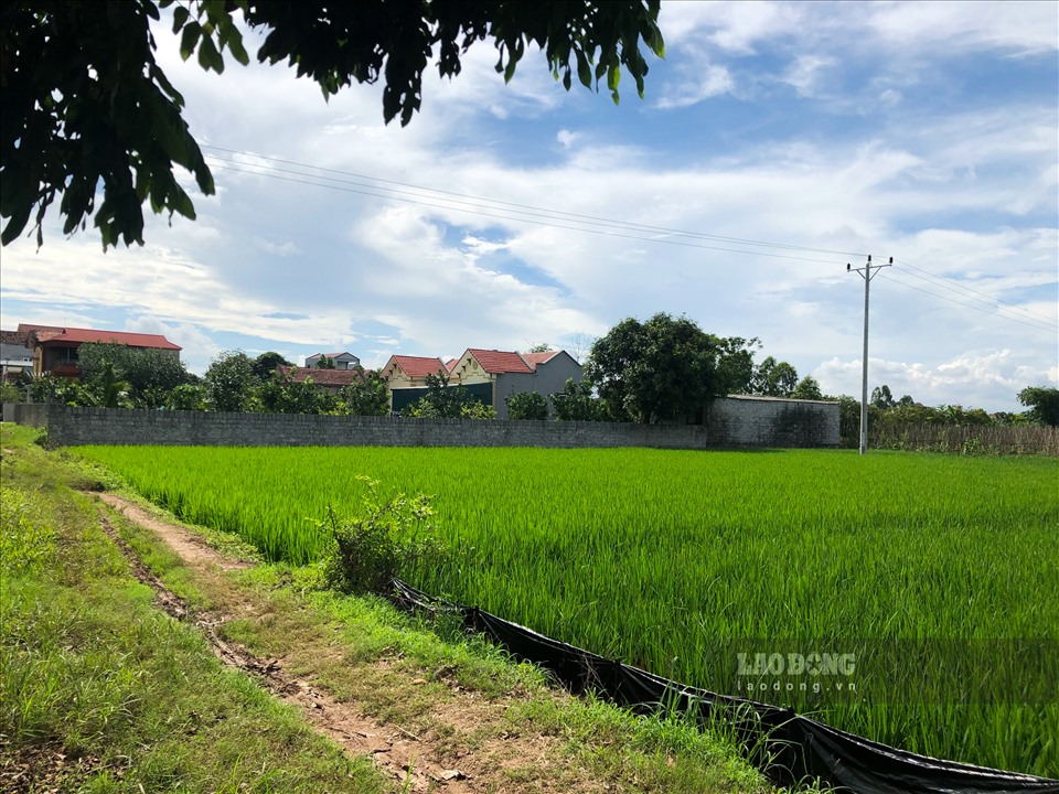 “Những công trình sai phạm không giải quyết được bắt buộc phải cưỡng chế, không thể để như vậy được.  Chủ tịch UBND xã mới lên cũng rất vất vả và quyết liệt, xã hiện không có phó chủ tịch.