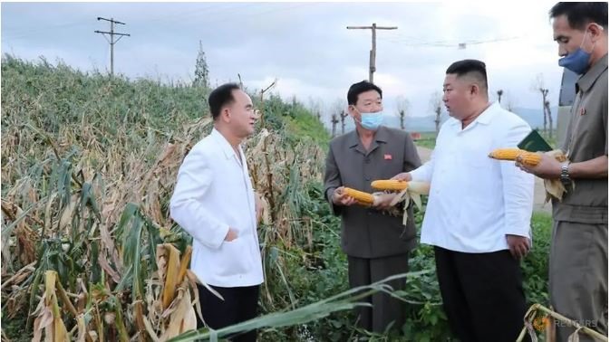 Nhà lãnh đạo Triều Tiên Kim Jong-un trong buổi thị sát khu vực chịu ảnh hưởng của bão Bavi ở tỉnh Nam Hwanghae, Triều Tiên. Ảnh: Reuters