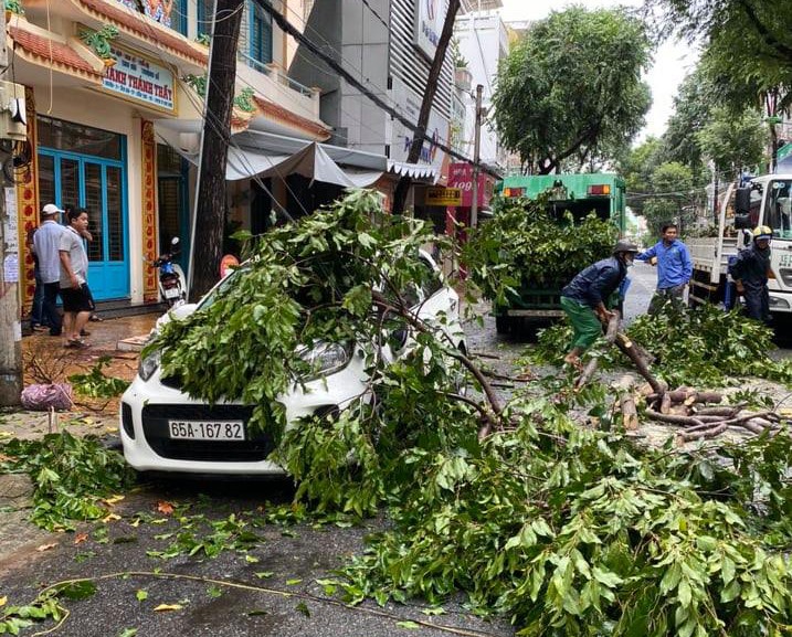 Một chiếc xe ô tô bị cây xanh gãy đổ đè lên ở quận Ninh Kiều, TP.Cần Thơ.