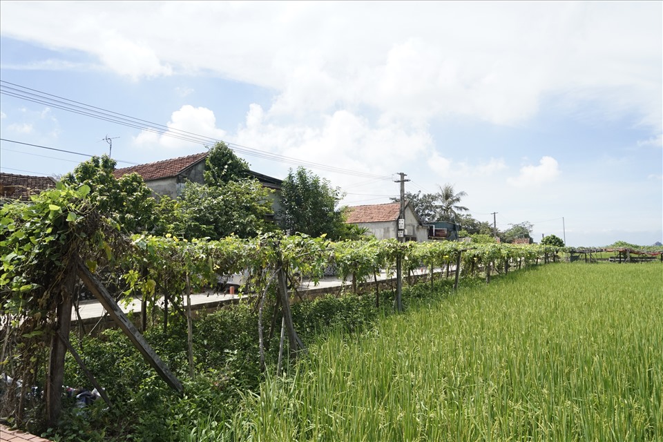 Một góc xã nông thôn mới Quỳnh Đôi. Ảnh: Quang Đại