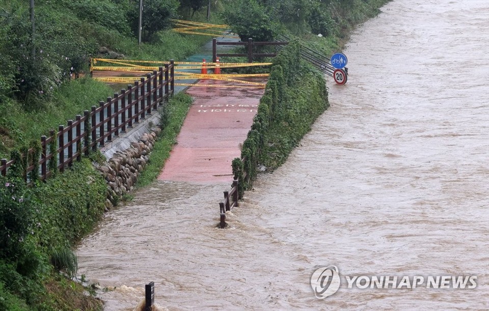 Mưa lớn khiến con đường nhỏ cạnh dòng Yangjae ở Seoul bị ngập nước ngày 9.8. Ảnh: Yonhap