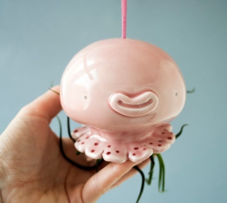 Hoặc chỉ đơn giản nữa thì chỉ là một chú sứa hồng đang mỉn cười.