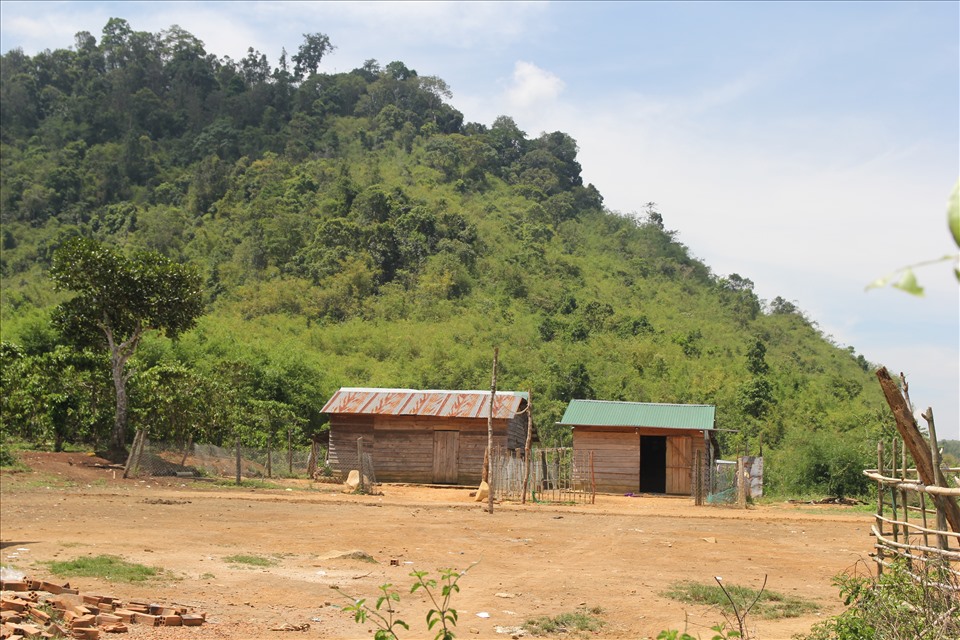 Nhiều hộ dân vẫn sống trong Vườn Quốc gia Tà Đùng mà không ra ở Khu tái định cư xã Đắk P’lao