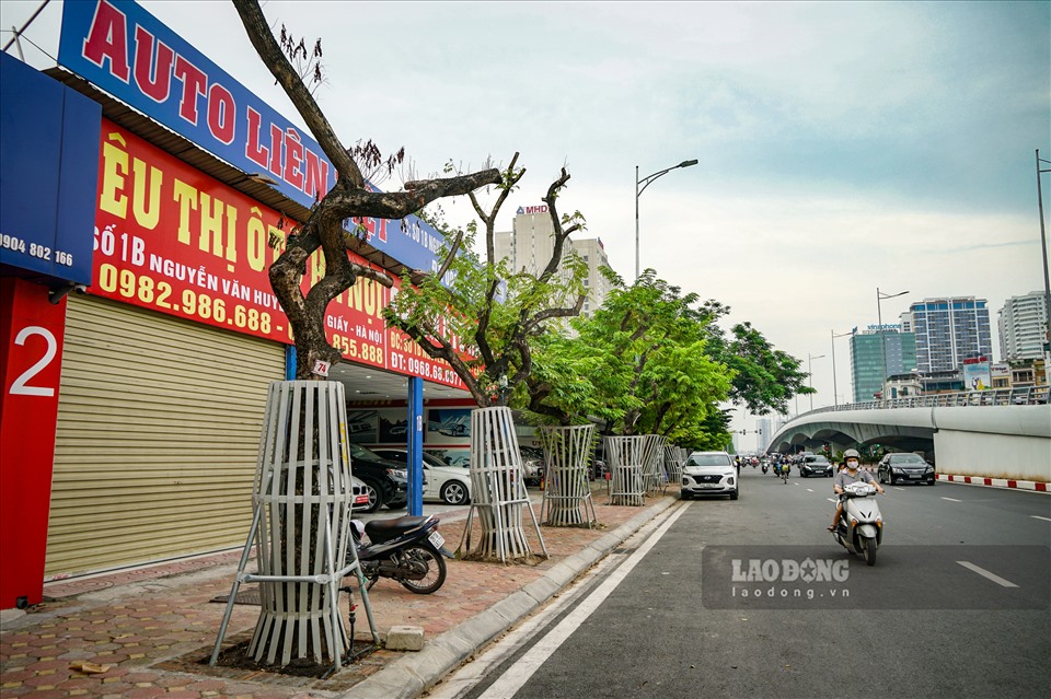 Thời gian qua, hàng cây sưa đỏ quý hiếm trên đường Nguyễn Văn Huyên (Cầu Giấy, Hà Nội) được bọc lồng sắt để bảo vệ gắn các túi truyền dinh dưỡng đang gây sự chú ý của dư luận.