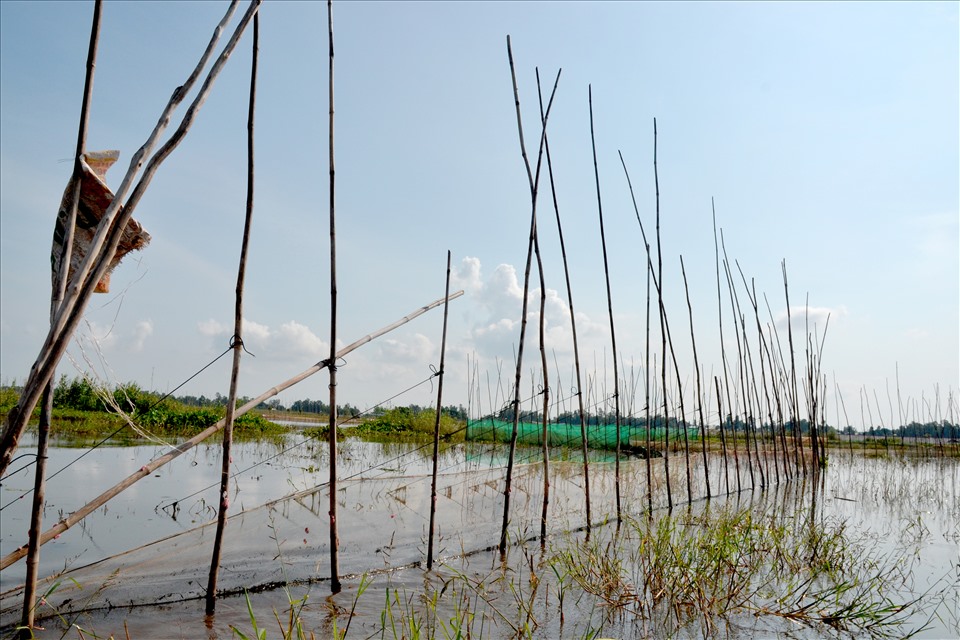 Do bất ngờ nên trước đó nhiều nông dân đã đầu tư, triển khai các phương tiện đánh bắt thủy sản. Ảnh: Lục Tùng