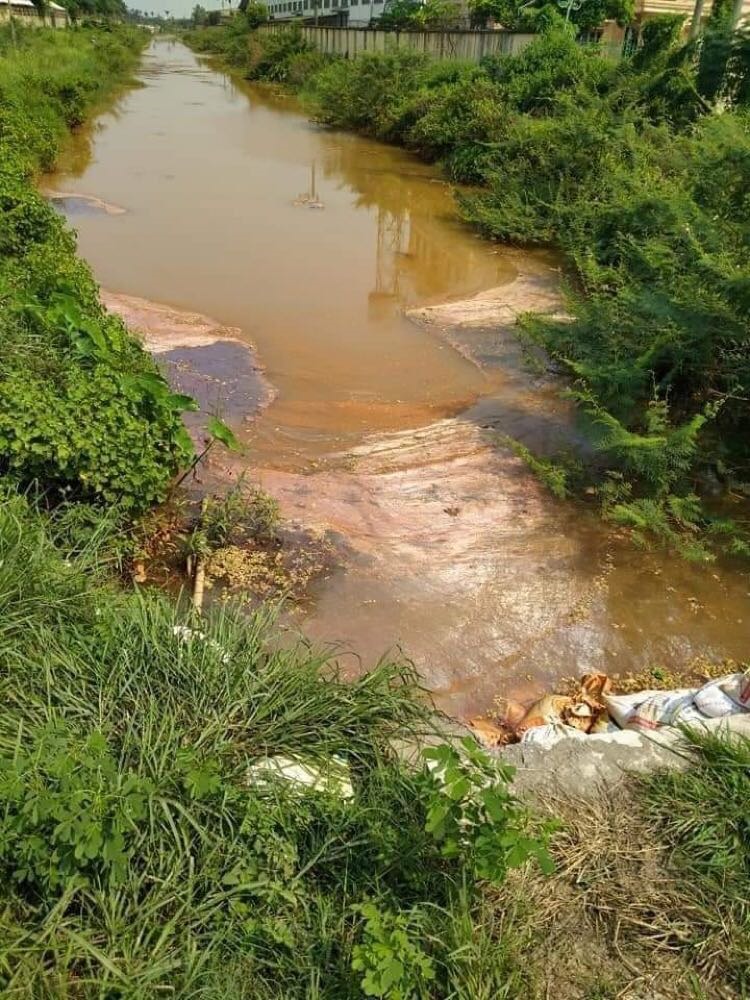 Hình ảnh tại kênh Cẩm Văn 2 được người dân địa phương ghi lại vào tháng 8.2020 khi phát hiện nước chuyển màu vàng đỏ. Ảnh NDCC