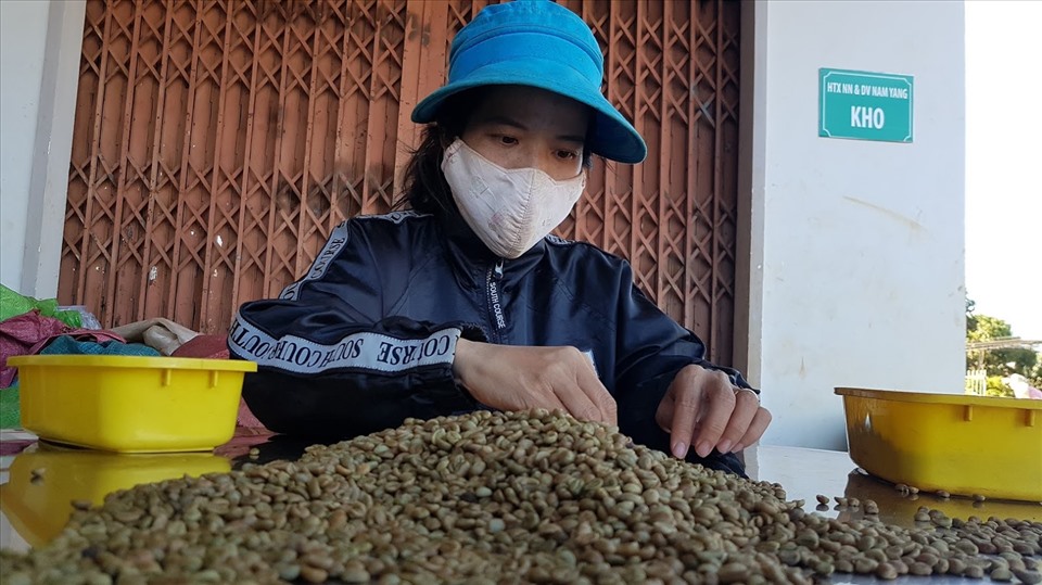 EVFTA mang lại cơ hội lớn cho xuất khẩu nông sản Việt Nam. Ảnh: Vũ Long