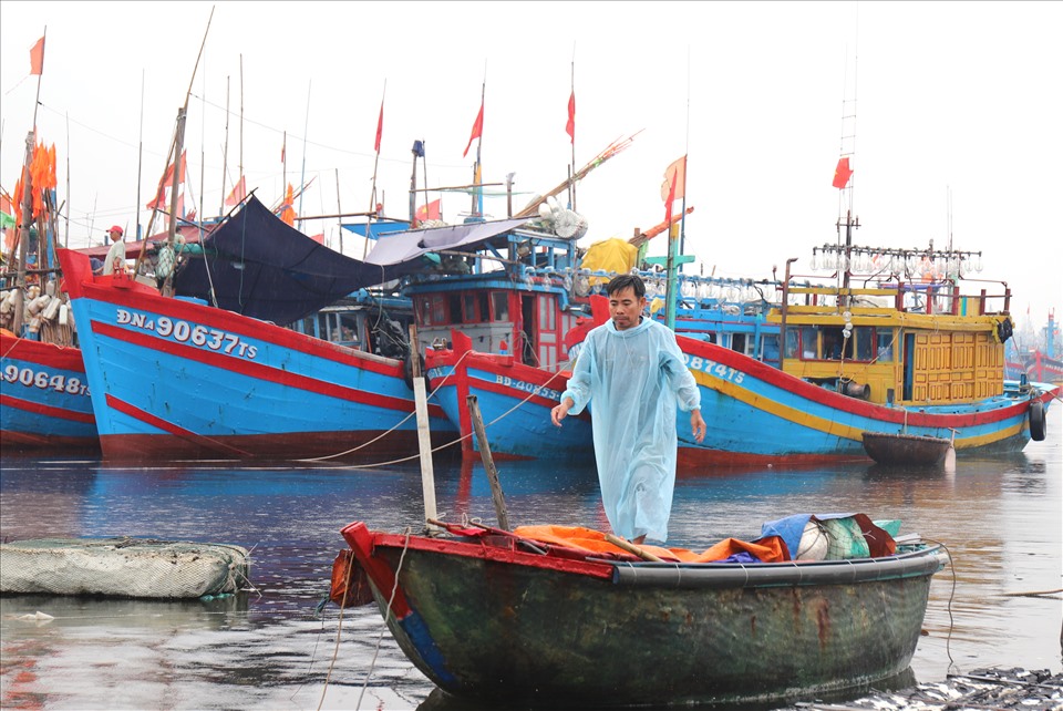 Từ sáng sớm ngày 17.9, hàng ngàn tàu thuyền của Đà Nẵng, Quảng Nam, Quảng Ngãi đã neo đậu tại Âu thuyền Thọ Quang để tránh bão. Ảnh: Hữu Long
