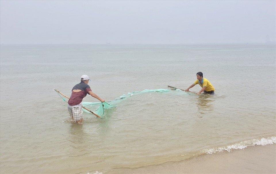 Nhiều ngư dân Đà Nẵng tranh thủ trước khi bão vào ra bờ biển xúc ruốc. Ảnh: Hữu Long