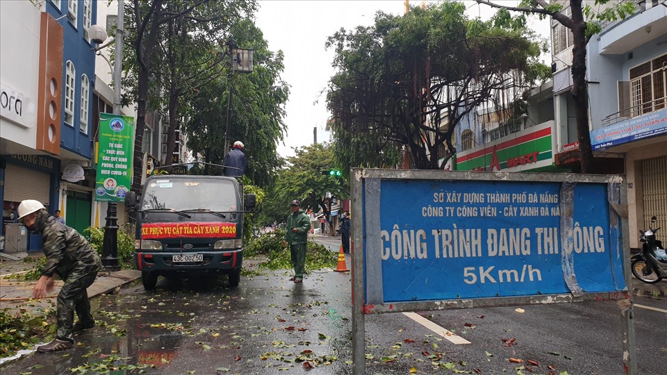 Ngay khi gió bão tạm dứt, hàng trăm nhân viên công ty công viên cây xanh Đà Nẵng được tỏa ra các tuyến phố để thu dọn cây đổ và tỉa gọn cây cối. Ảnh: Hữu Long