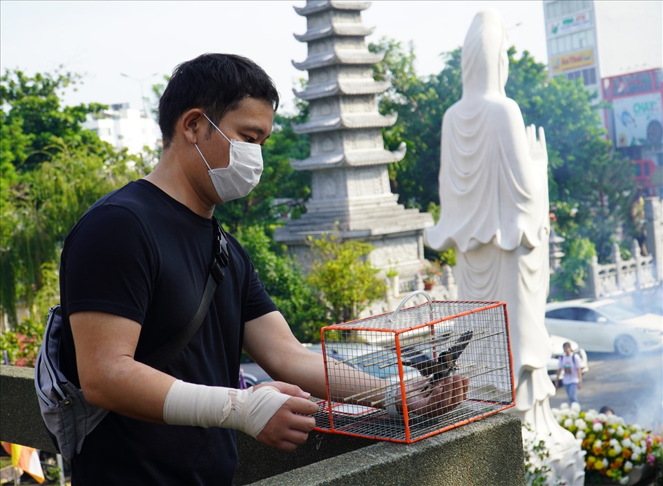 Nhiều người dân cũng phóng sanh chim sẻ tại sân chùa.