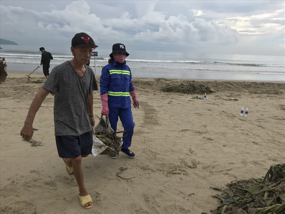 Người dân và công nhân công ty môi trường cùng nhau dọn rác thủy sinh trên bãi biển Đà Nẵng. Ảnh: Hải Minh