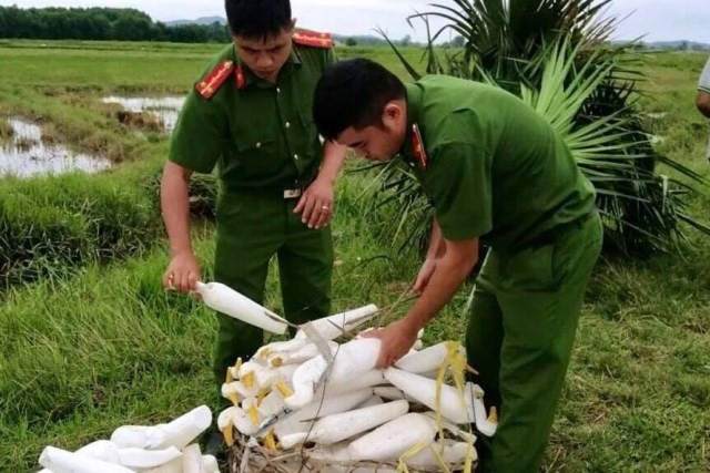 Hình ảnh Công an huyện Thạch Hà ngăn chặn nạn bẫy chim trời sau bão số 5 vừa qua. Ảnh: CA.