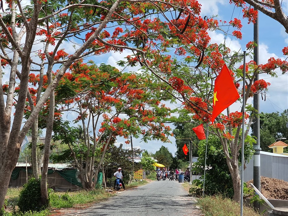 Một đoạn đường tại vùng quê xã Châu Thới, huyện Vĩnh Lợi, Bạc Liêu (ảnh Nhật Hồ)