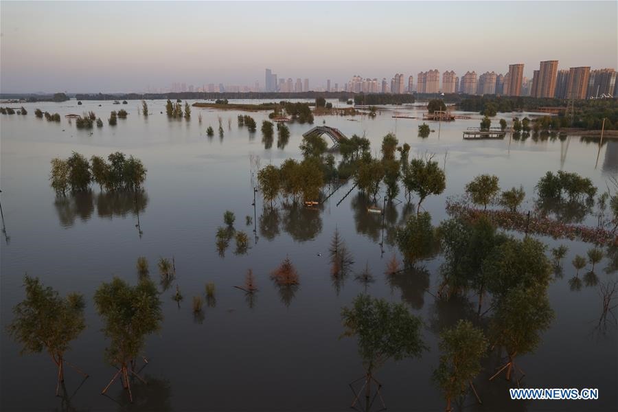 Công viên Qunli Bund ở Cáp Nhĩ Tân ngập trong lũ lụt hôm 23.9. Ảnh: Tân Hoa Xã