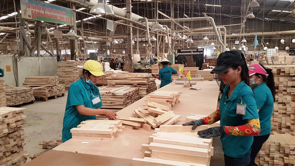 Các doanh nghiệp chế biến và xuất khẩu gỗ của Việt Nam  chủ yếu quy mô vừa và nhỏ. Ảnh: Khánh Vũ