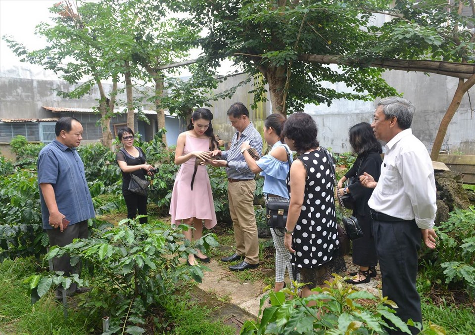 Nhiều doanh nghiệp lữ hành ở Đắk Lắk đang tập trung hướng đến việc làm du lịch nông nghiệp. Ảnh T.X