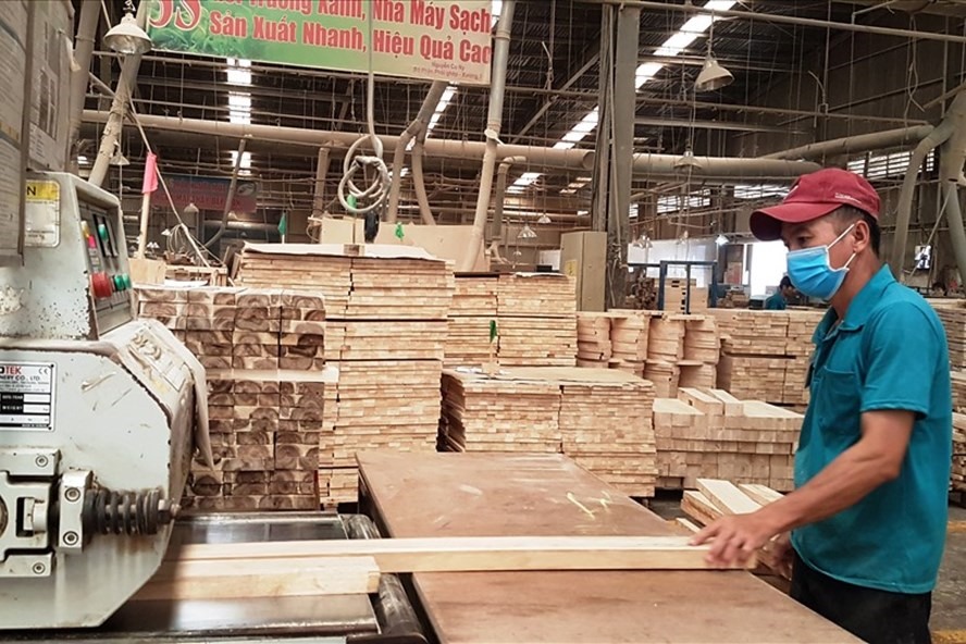 Tình trạng gian lận thương mại khiến xuất khẩu gỗ và sản phẩm lâm nghiệp của Việt Nam sang Mỹ và các nước có nguy cơ gặp rủi ro lớn. Ảnh minh họa: Vũ Long