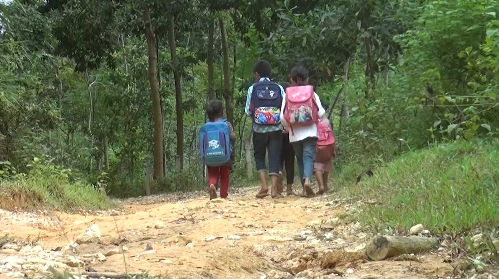 Ngày ngày, Định, Phương, Sơn, Thủy, Ngân phải đi bộ 5 km đường rừng để tới trường.