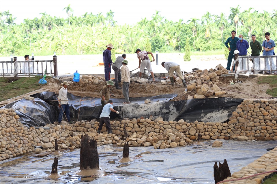 Bãi cọc cổ tại huyện Thủy Nguyên, Hải Phòng được bảo tồn