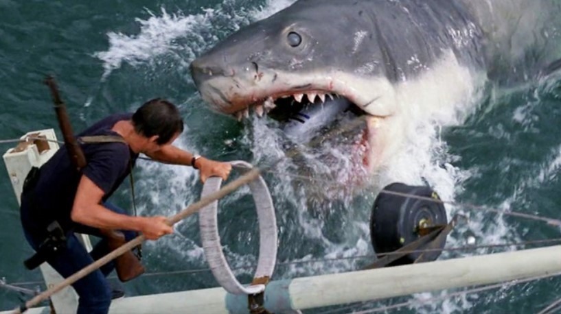 “Hàm cá mập” ra mắt vào năm 1975 là tác phẩm mang tính bước ngoặt của đạo diễn Steven Spielberg. Ảnh nguồn: Mnet.