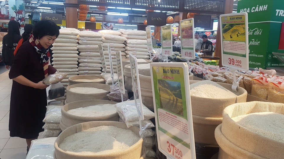 Gạo xuất khẩu và gạo tiêu dùng trong nước đều chung vùng trồng, không có sự phân biệt. Ảnh: Vũ Long