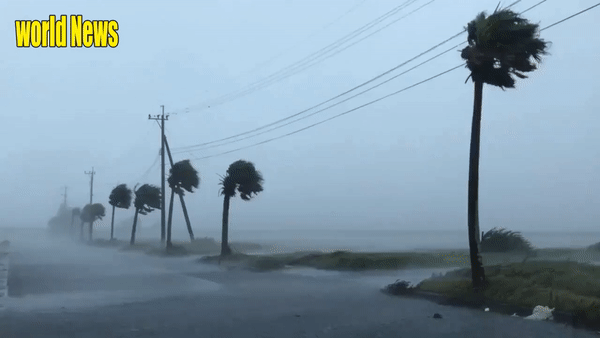 Bão Haishen dự kiến gây mưa to, gió lớn ở đông bắc Trung Quốc. Ảnh: World News