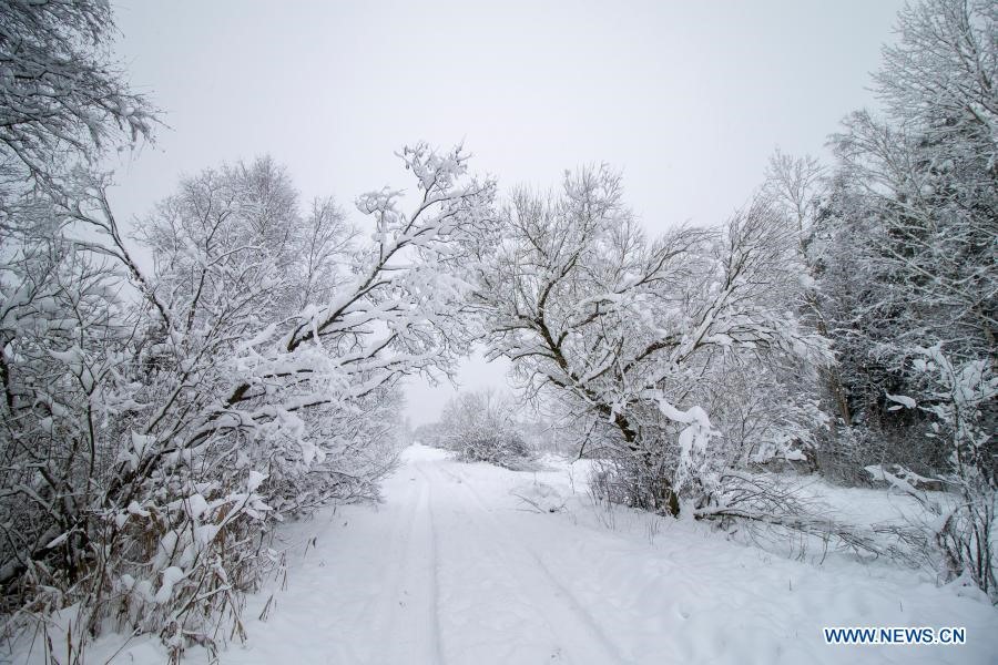 Phong cảnh Hàn Quốc mùa đông  Khám phá thiên đường tuyết