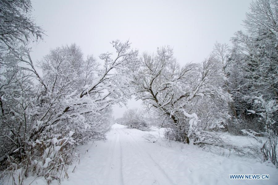 Belarus