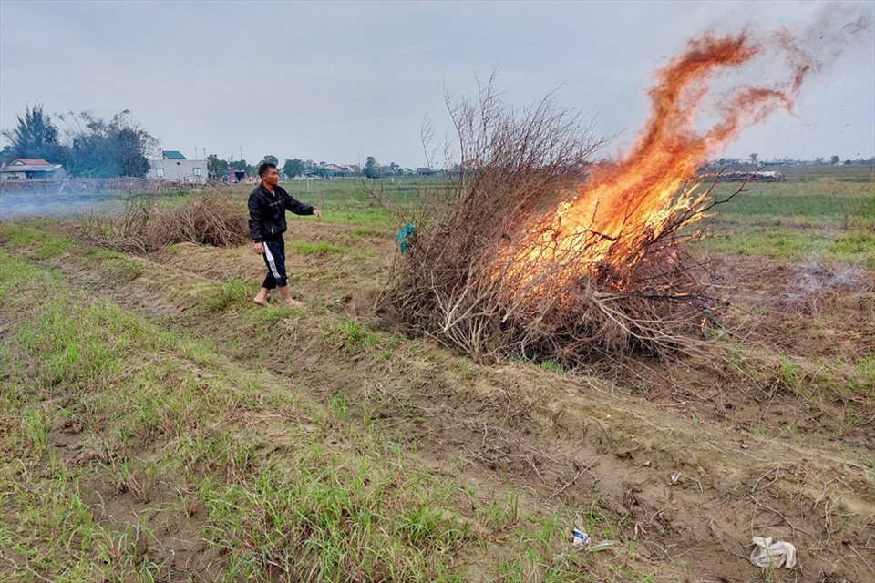 Đây là hình ảnh đồng rau của người dân Hà Tĩnh sau khi ngập lụt hư hỏng, phải đốt bỏ để làm lại vụ mới. Ảnh: TT