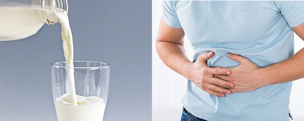 Uống sữa quá nhiều dẫn đến việc khó tiêu cho hệ tiêu hoá. Đồ hoạ: Phương Linh.