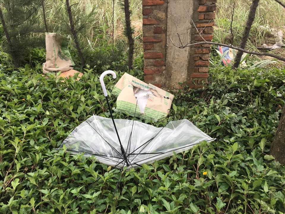 Mặc dù đã có biển cảnh báo về giữ gìn vệ sinh chung, nhưng tình trạng xả rác ra khu vực hàng sưa trở nên tan hoang. Ảnh: Thien Linh