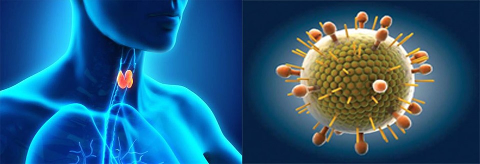 Sức đề kháng kém làm virus xâm nhập vào cơ thể có thể là nguyên nhân dẫn tới ung thư tuyến giáp. Đồ họa: Hồng Nhật
