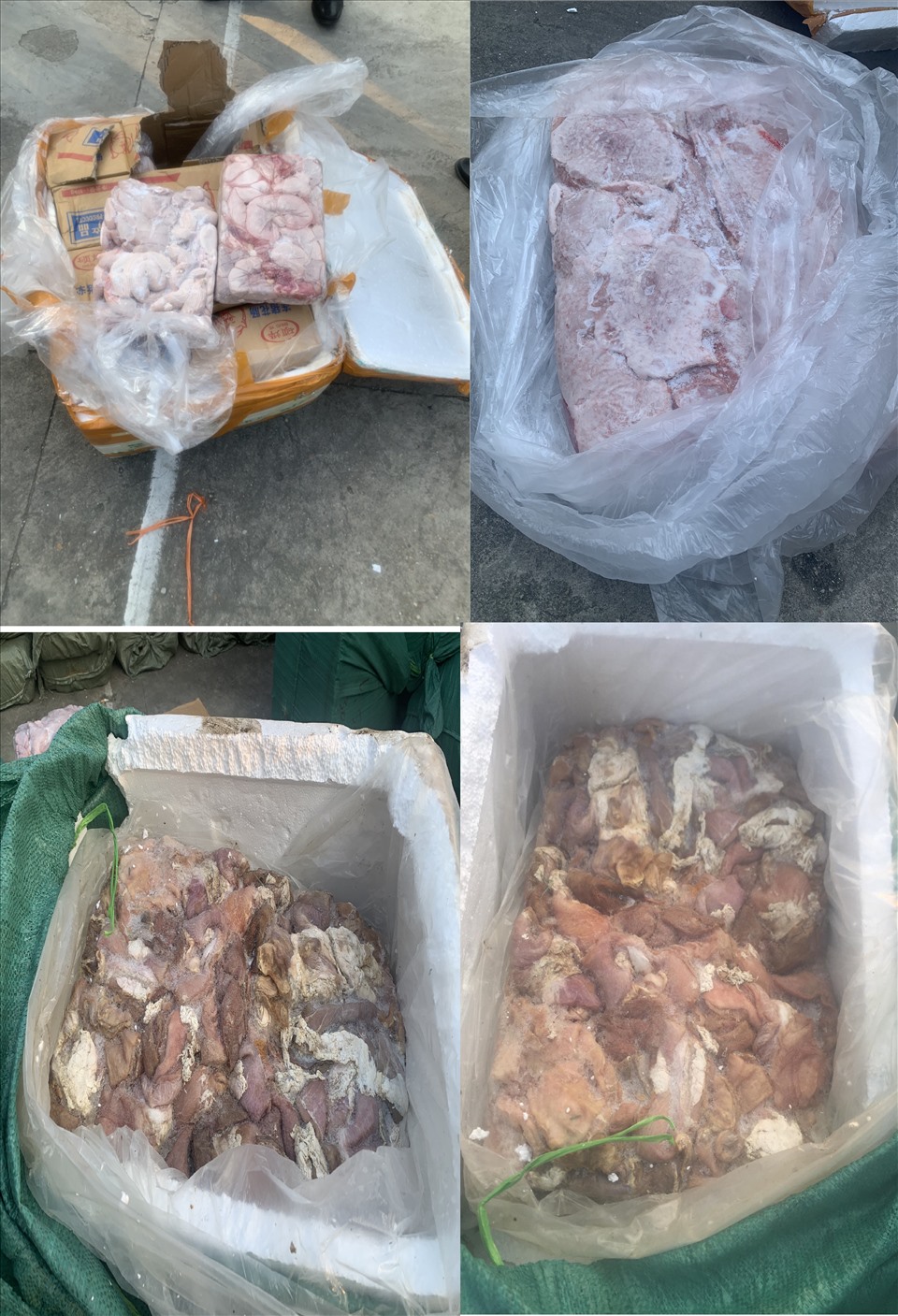 Nghệ An phát hiện và tiêu hủy hơn 3,5 tấn nội tạng lợn đã bốc mùi hôi thối. Ảnh: DMS