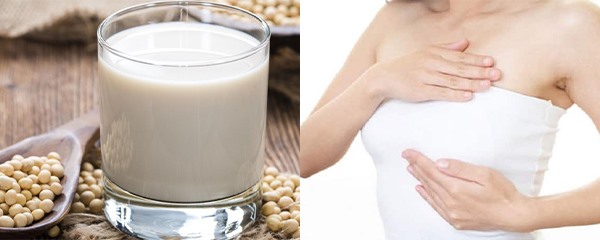 Uống sữa đậu nành để tăng số đo vòng 1 là giải pháp nhanh chóng và dễ dàng nhất, được nhiều người áp dụng. Đồ hoạ: Phương Linh.