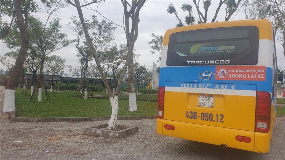 Không có trạm chờ, xe buýt ở Đà Nẵng đậu đỗ lung tung ngoài đường. Ảnh: HL