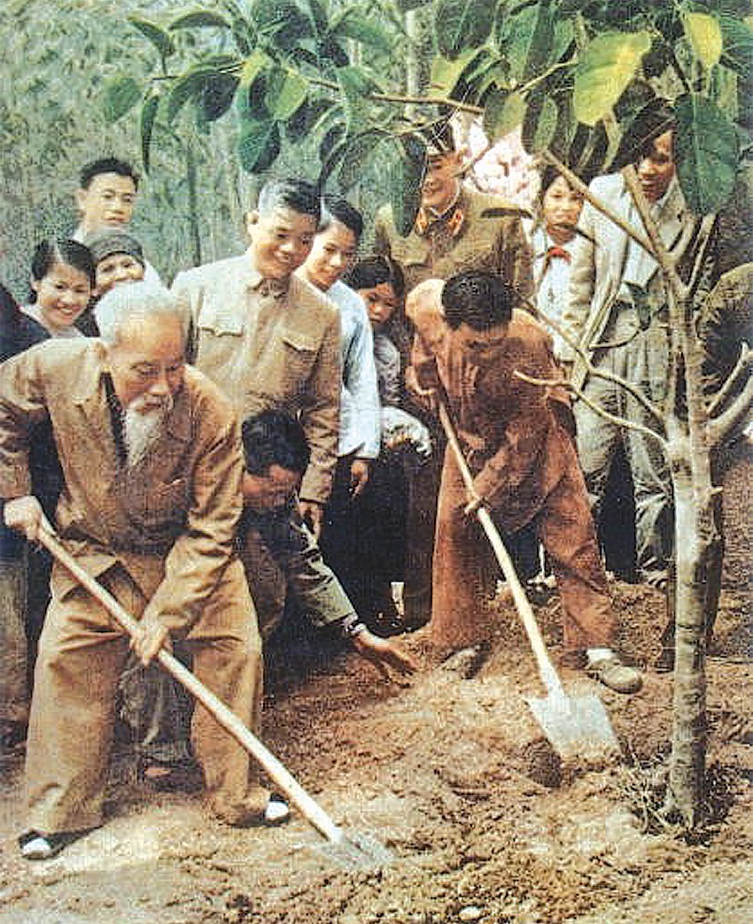 Bác Hồ trồng cây đa tại xã Vật Lại, Ba Vì, Hà Tây (nay là Hà Nội) ngày 16.2.1969. Ảnh: Tư liệu