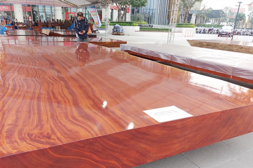 Đây là tấm gỗ Hương nhập khẩu từ Nam Phi với kích thước dài 6,02m, rộng hơn 2,6m, dày 30cm. Ảnh: TT.