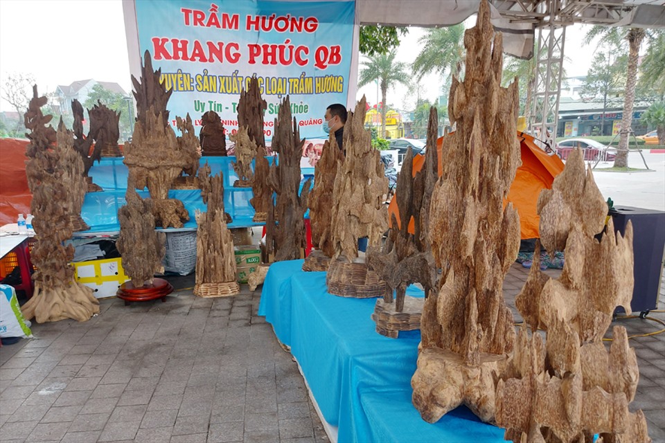 Những sản phẩm gỗ trầm đến từ tỉnh Quảng Bình. Ảnh: TT