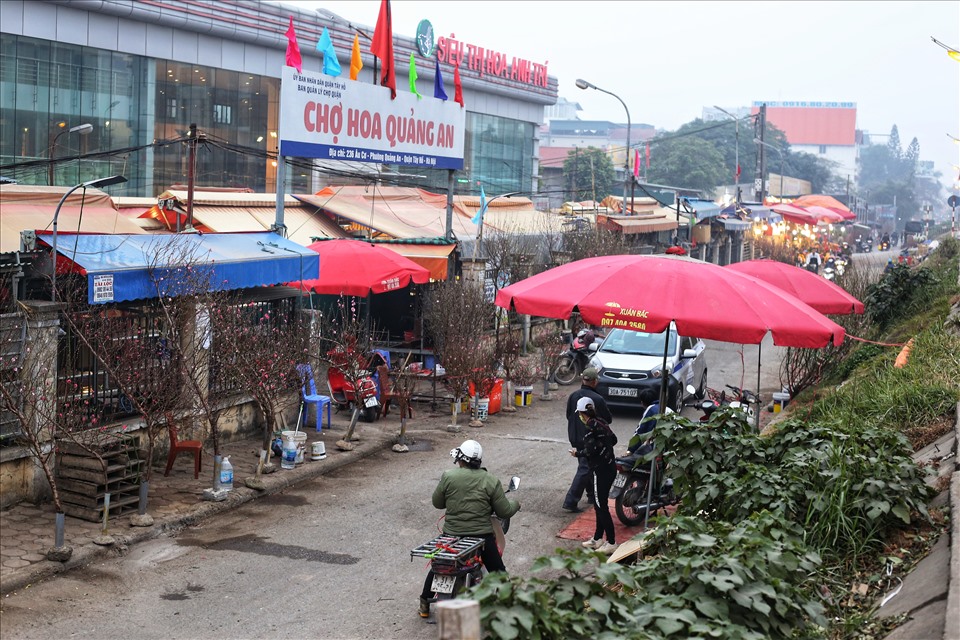 Chợ hoa Quảng An rộn ràng đào Nhật Tân xuống phố.