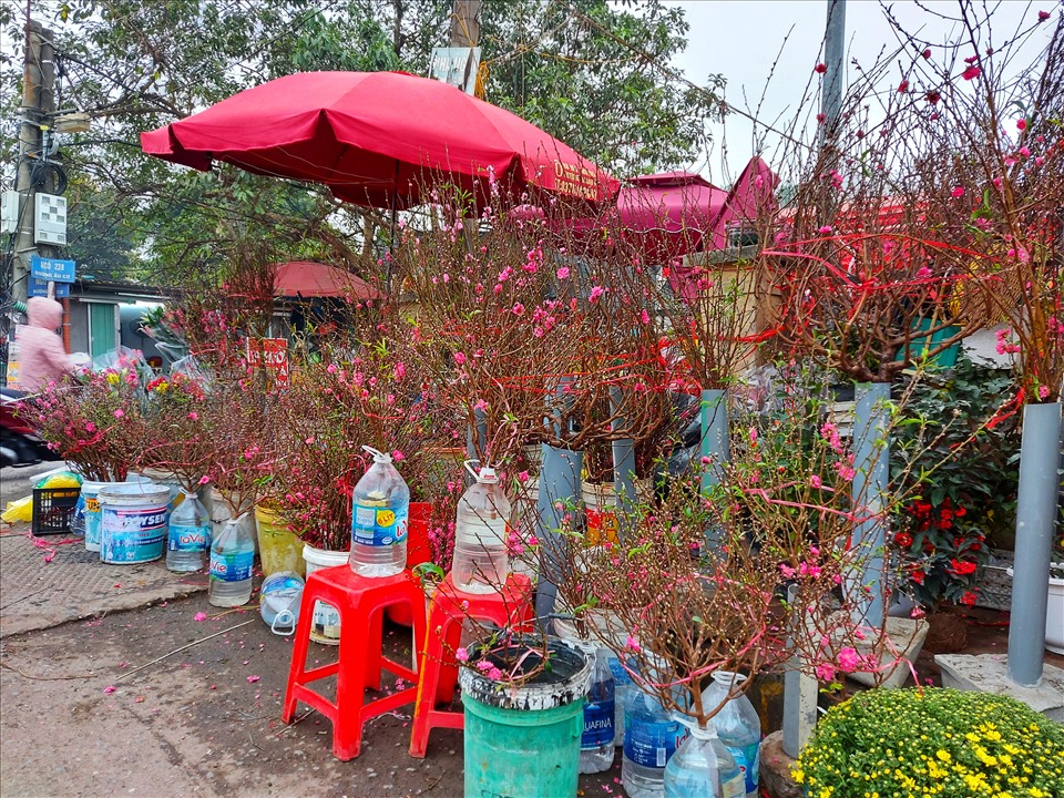 Trong tiết trời rét lạnh điểm chút nắng nhạt, Hà Nội như ấm áp hơn khi những cành đào xuất hiện, mùa xuân đã đến rất gần trong thành phố.