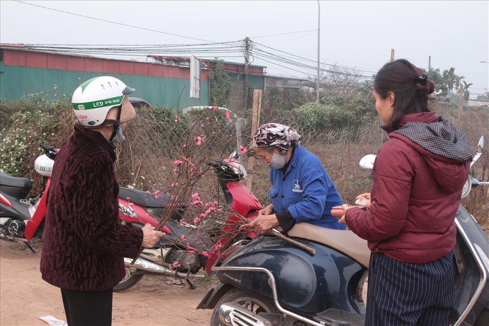 Không khí tấp nập “người bán người mua” tại làng đào Nhật Tân
