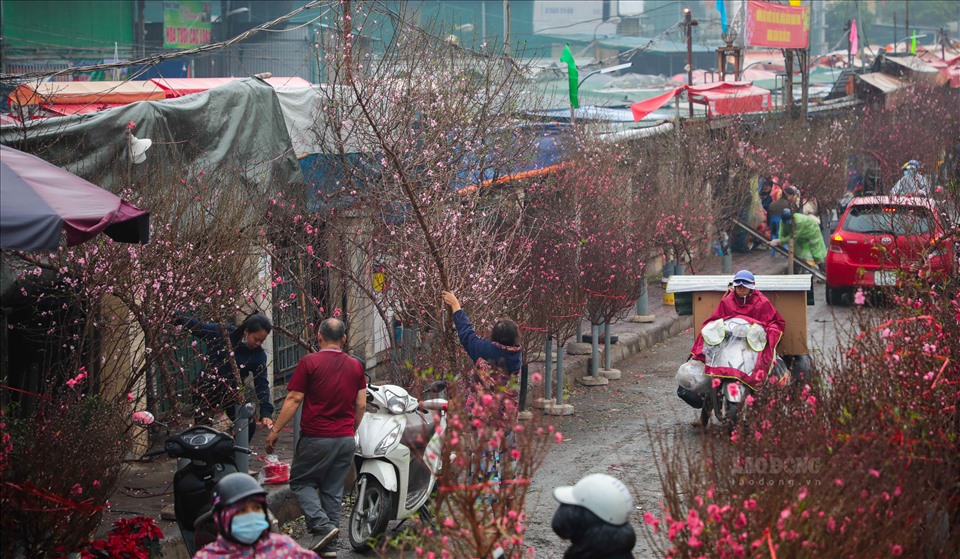 Chợ hoa Tết